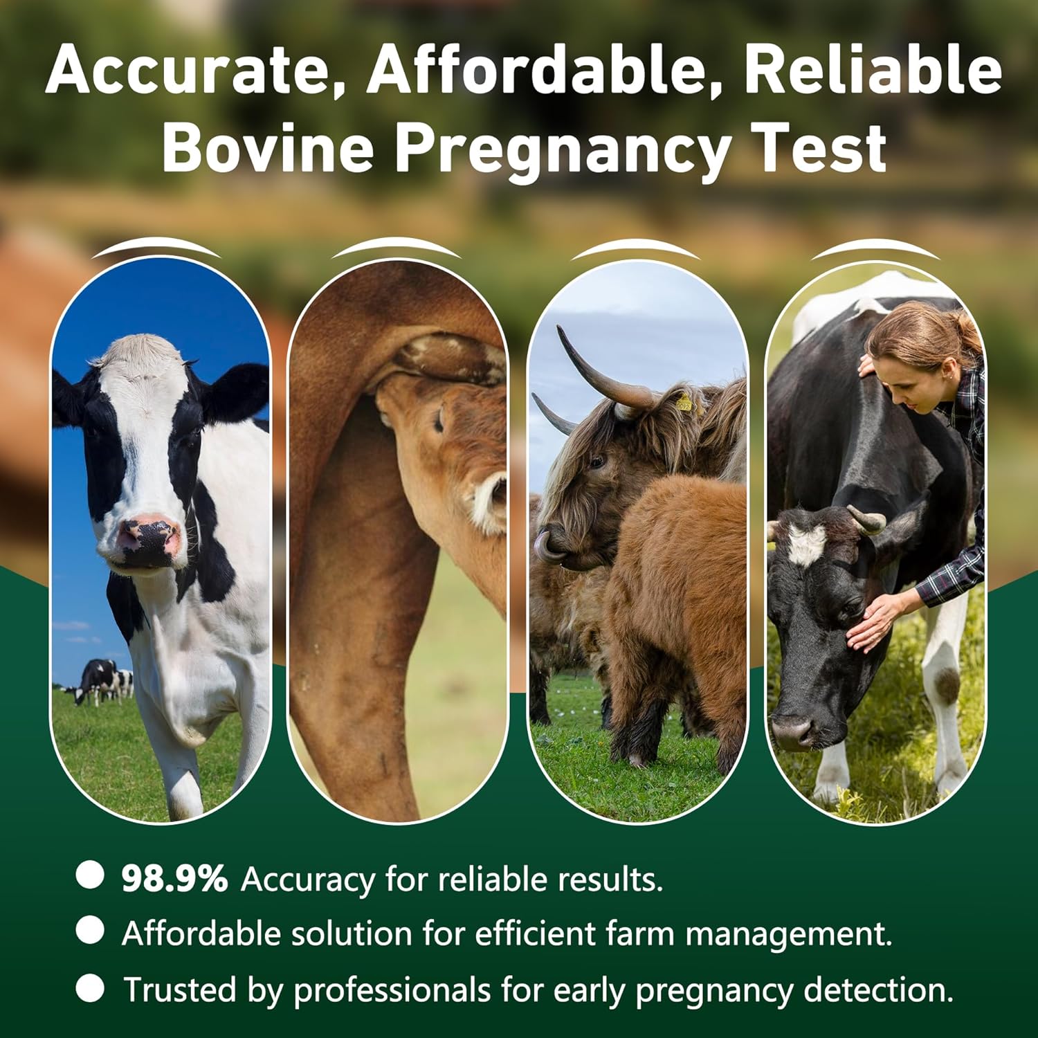Bovine Pregnancy Test Kit - Includes 2 Tests, Rapid Results in 5-20 Minutes for Dairy & Beef Cows, Whole Blood, Serum & Plasma-Based Tests - Image 5